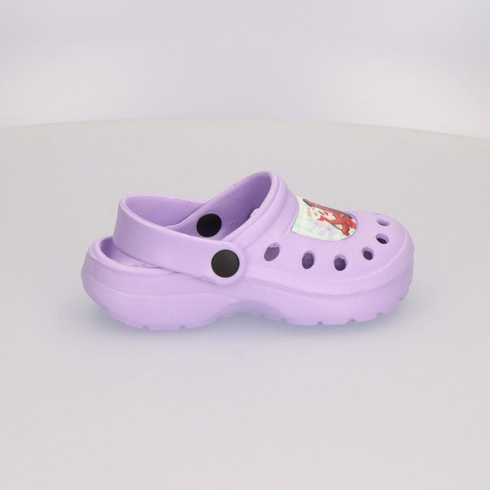 Disney Princess assorted clogs