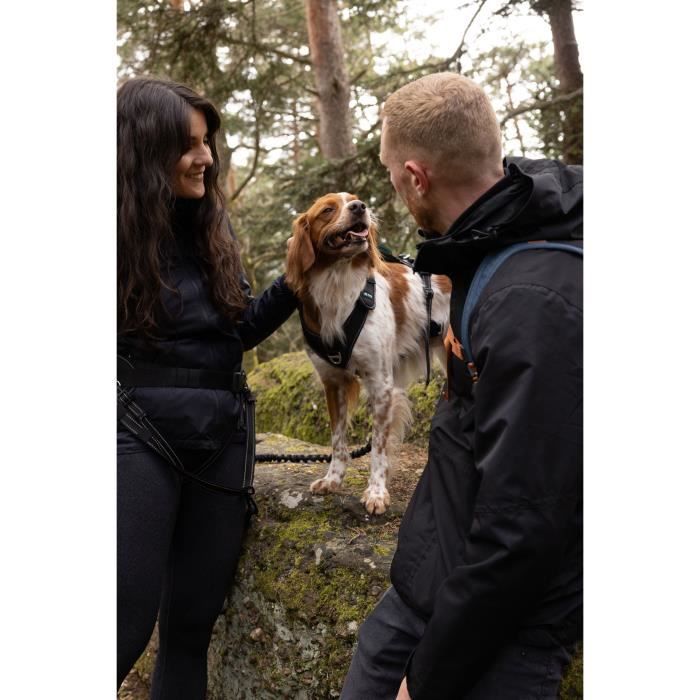 Dog Harness - SYMBIOZ - XXS - Black / Blue