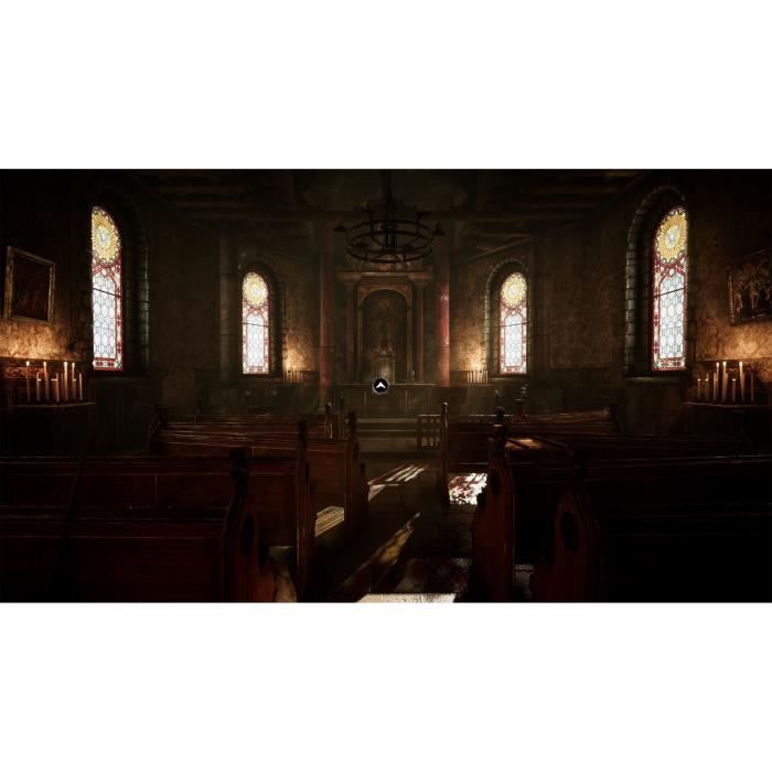 The Amerzone: The Explorer's Testament - PS5 Game