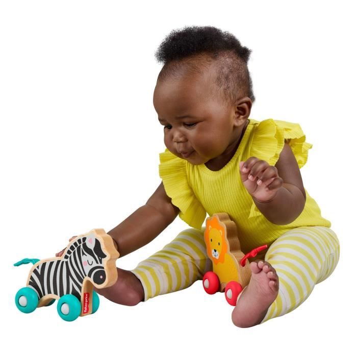 FISHER-PRICE Wooden push animals bones - JFN19