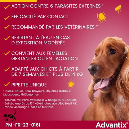 ADVANTIX 4 antiparasitic pipettes - For small dogs from 4 to 10kg