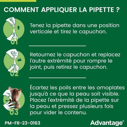 Advantage antipuce rabbit chat solution +4kg 6 pipettes