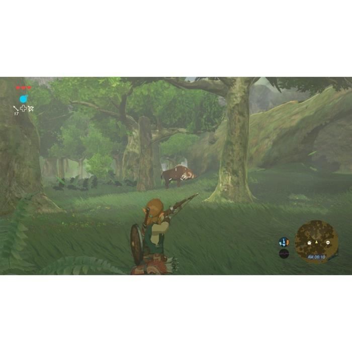 The Legend of Zelda : Breath of the Wild Jeu Switch