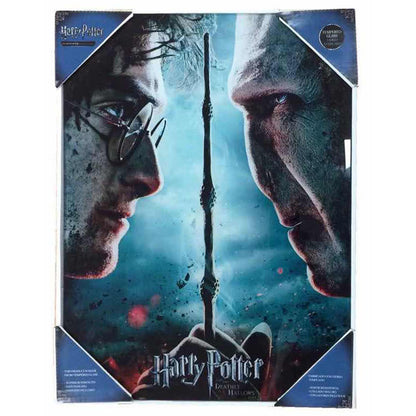 Harry Potter vs Voldemort glass poster