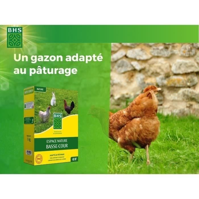 Lawn - BHS - Espace Nature 1kg | 40m² | Rich in protein, fast, homogeneous | Outdoor animal welfare.
