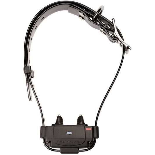 Anti-fugue collar - NUM'AXES - CANIFUGUE FUG1034 - Black