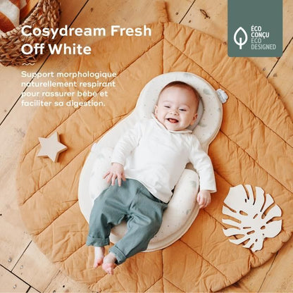 BABYMOOV Cosydream newborn reducer, morphological support, thermo-regulating fabric, fresh ecru