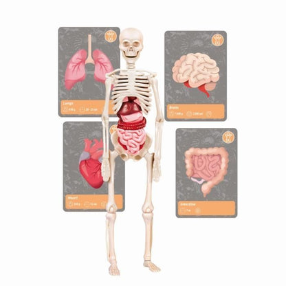 Clementoni - Science and gaming - The history of life on Earth - Virtual Reality - More than 50 experiments - Made in Italy