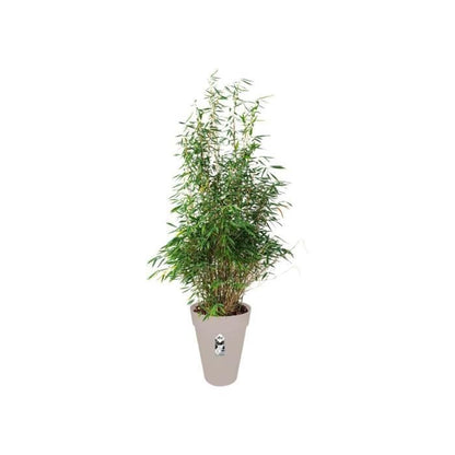 ELHO Loft Urban Tall 42 round flower pot - Gray - Ø 42 x H 56 cm - outdoor