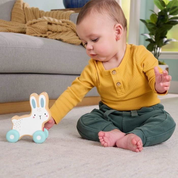 WOODEN PUSH-AROUND RABBIT