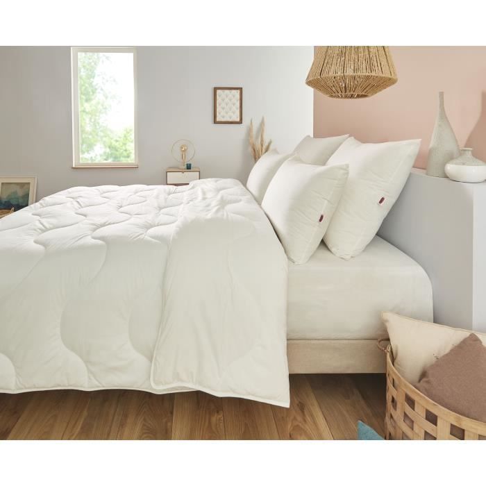 Duvet 200x200 cm DODO CHAMPS DE LIN - Warm - 450G/m² - Duvet for 1-2 people - Soft and Warm - Anti-mite Antibacterial - White