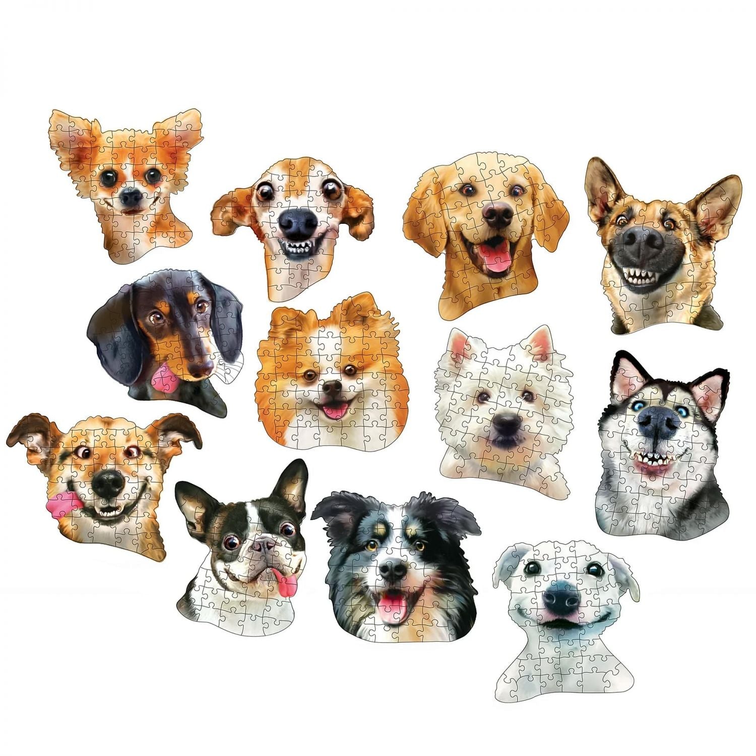 Dog Selfies | 12 Mini Jigsaw Puzzles | 500 Total Pieces