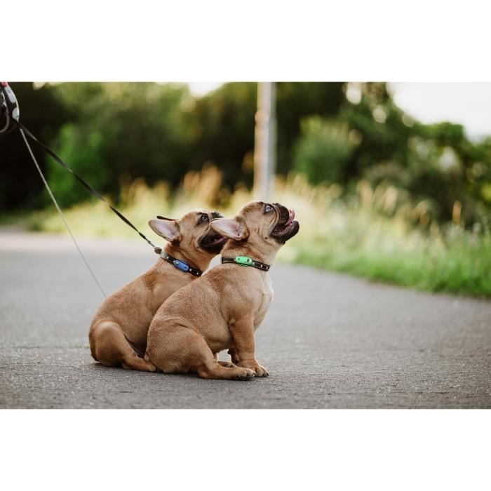 Ultrasonic dog repellent - TICKLESS MINI DOG&CAT - Tick and flea protection - Mentha Green