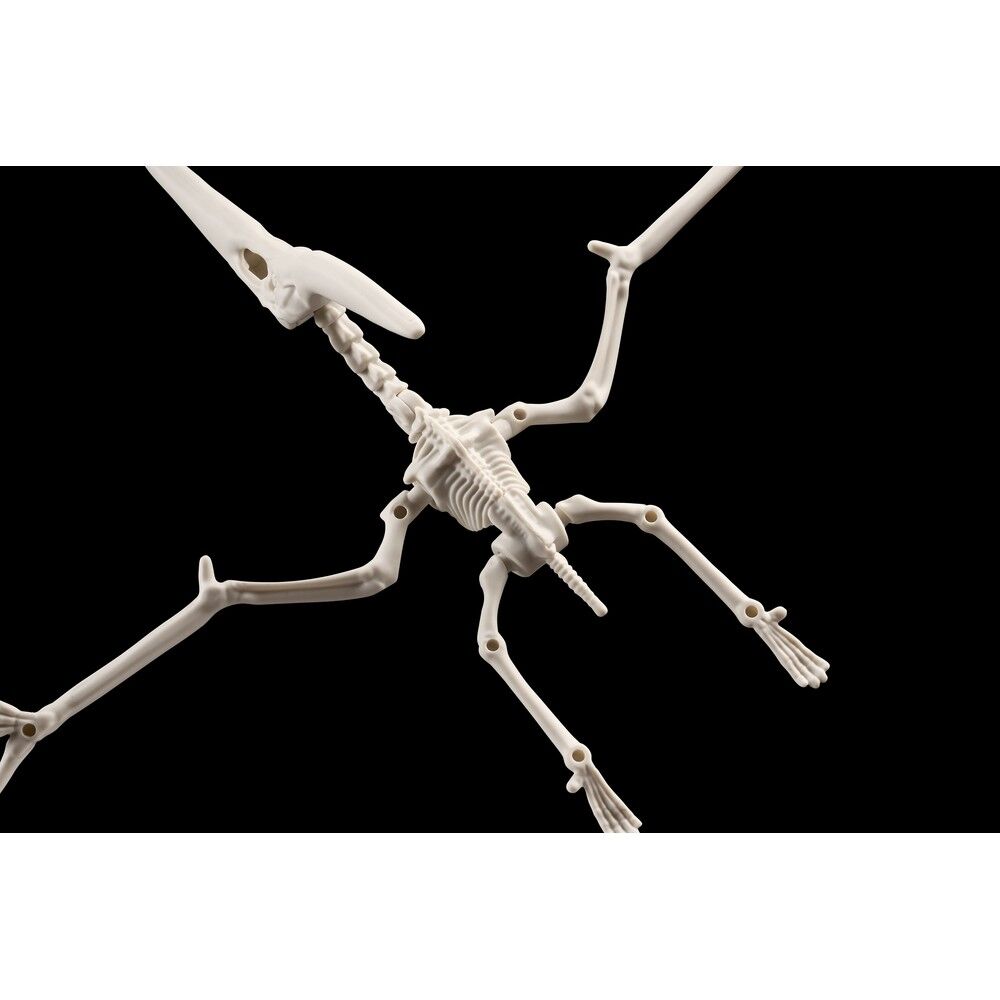 Plannosaurus Pteranodon Model Kit figure