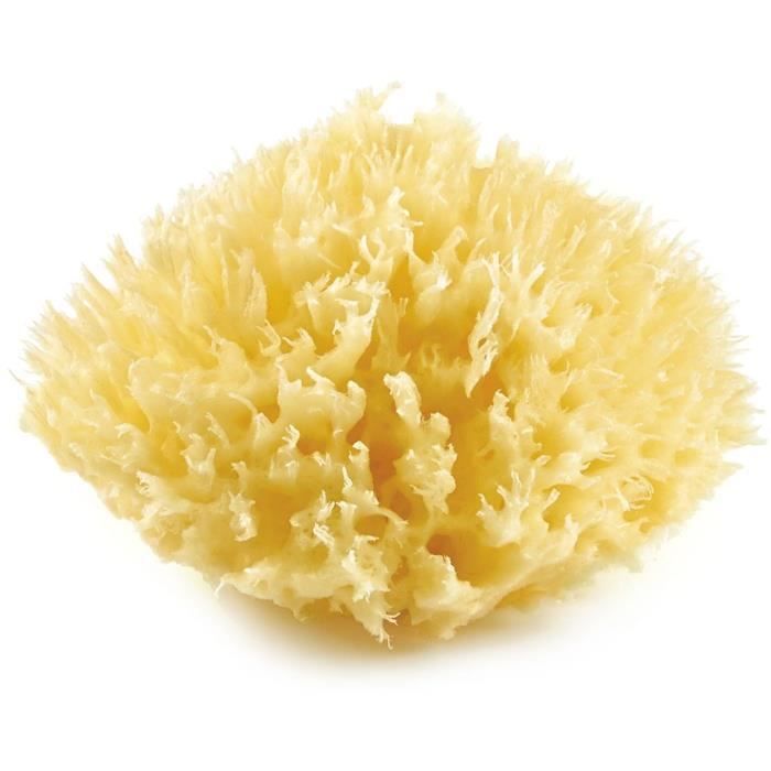 THERMOBABY Eponge de mer honeycomb n ° 10
