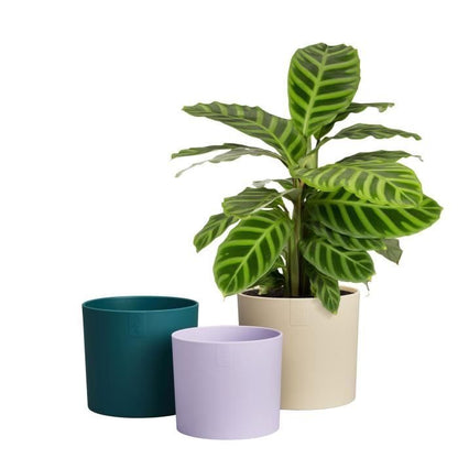 Flower pot - Elho - Lex Pott - Set 14 - White Green Purple - L 14 x W 13.8 x H 12 cm - Indoor - 100% recycled