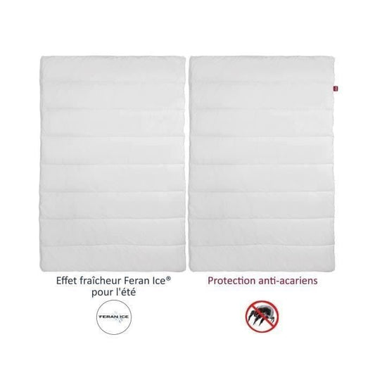Abeil duvet 4 anti-Acurian seasons 240x260cm