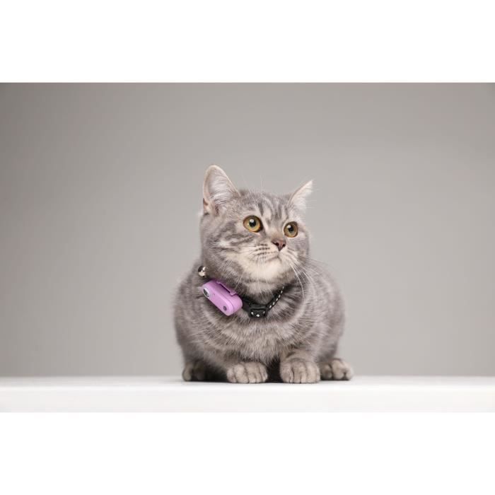 Ultrasonic cat repellent - TICKLESS MINI CAT - Tick and flea protection - Organ Purple