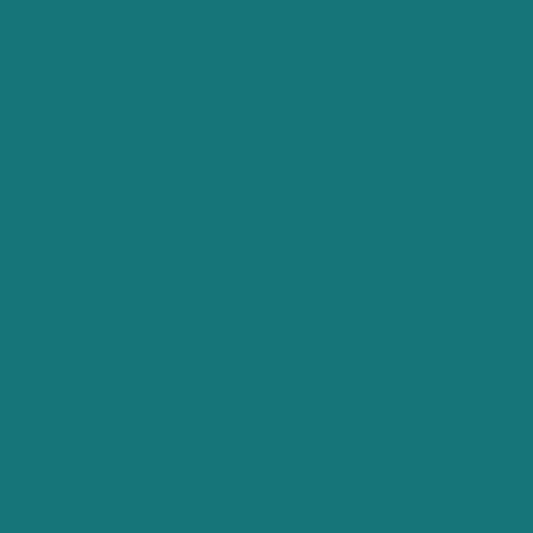 V6H1BE29D17B5038C132454DE746C86C94BR5564668P2