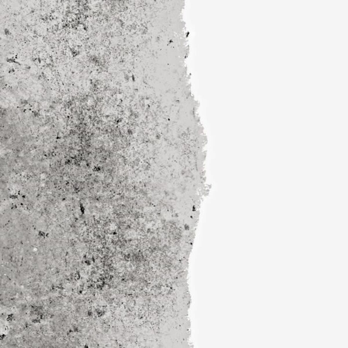 V4HA9FE7D2F9001C08F65868B18A0228EA1R6738809P2