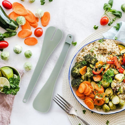 V2HC364CAE0C9DEB127538E886C454BF366R7627226P3