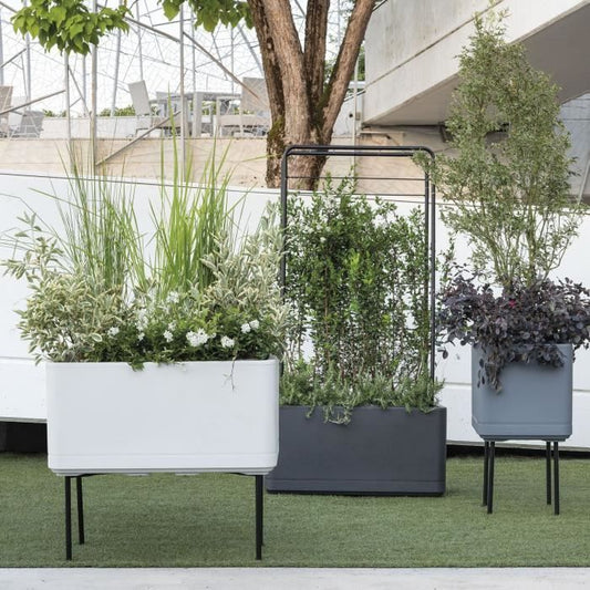 Cube Flower Pot - DEROMA - Cosmo - Ashgrey - Self-Watering - Casters - 38 cm
