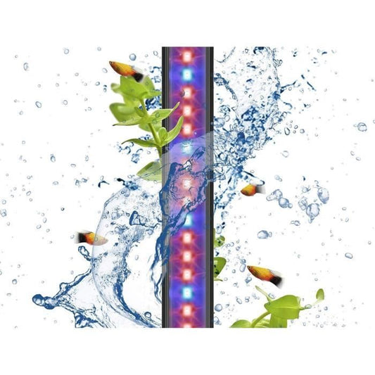 CIANO CLN5 white and RGB 1.5W led ramp + transformer for nexus Betta Life 5C and Diamond 14C CIANO