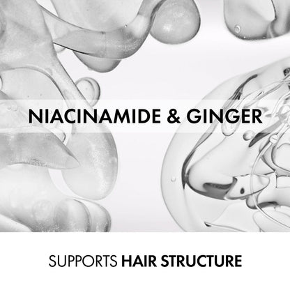 V2HE86B1C994E04DCD247479AAF890B725DR7387888P6