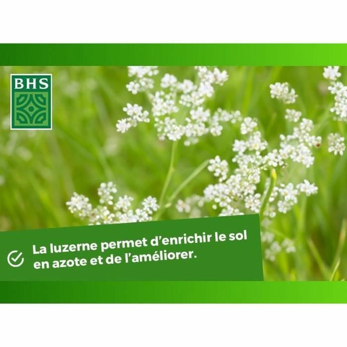 V3H95ADC53698B87E787DBDEB8B0B3B12F1R5964930P5