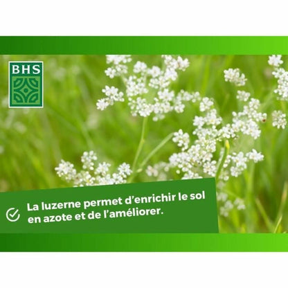 V3H95ADC53698B87E787DBDEB8B0B3B12F1R5964930P5