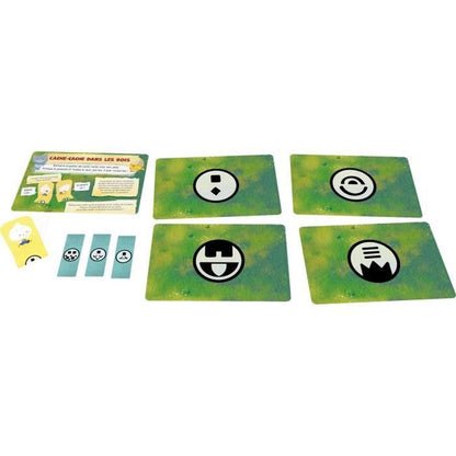 V2H82E051DE212754A9B890677AD037C9CCR7436668P6