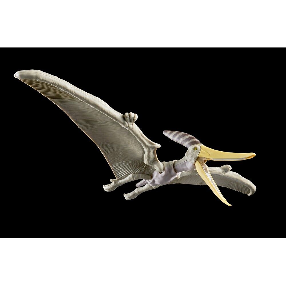 Plannosaurus Pteranodon Model Kit figure