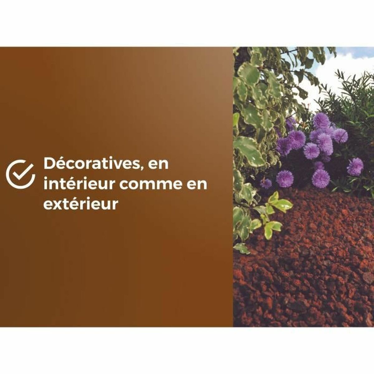 V3H9886F4DA9DBEAC634B89A0BBB9DE5E56R5819566P6