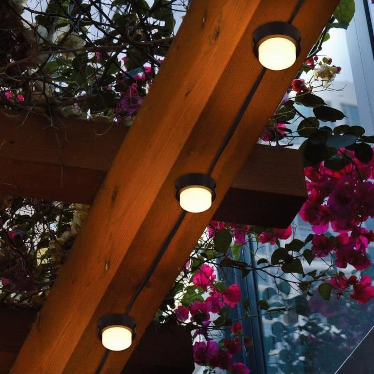 V4H38DB6D6F66B2B8DA4BCB6887DBAFA656R4483976P4