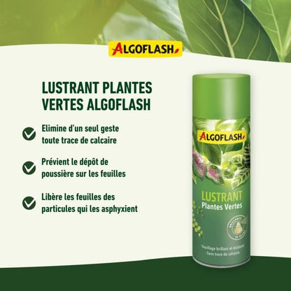 ALGOFLASH - Green Plants Gloss 250 mL