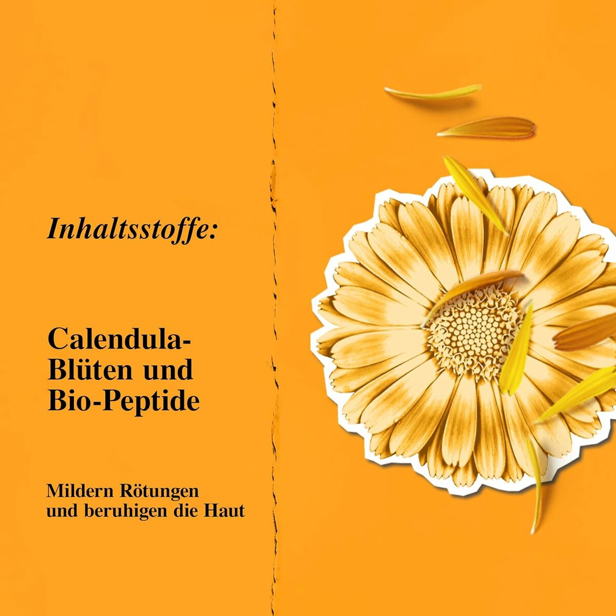 V2HCF238268FB22BECD0DF9CB7661BA3CD0R7659701P6