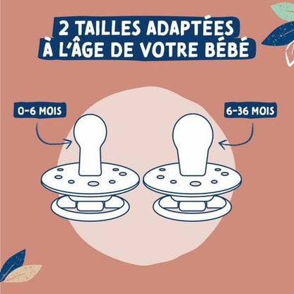 V5H66F0081072398AAD71AA1F4848B1D266R5774088P5