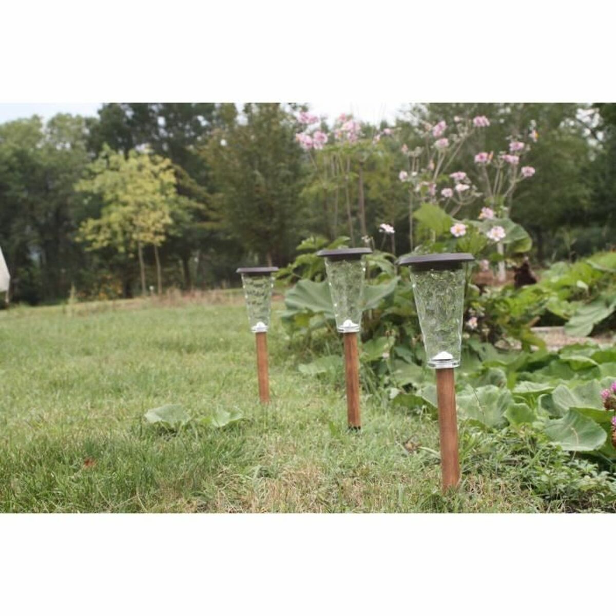 V4H08E88FCA7DFEFDA800F2A01142DD71CFR5567698P3