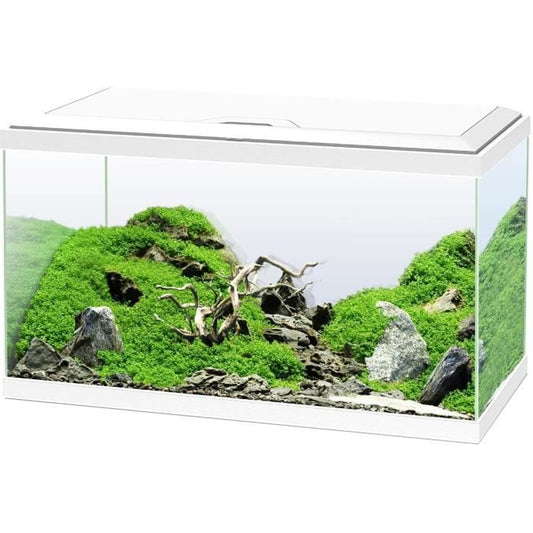 Aquarium 60 - CIANO - 58 L + Filter + LED + Heater + Consumables - White