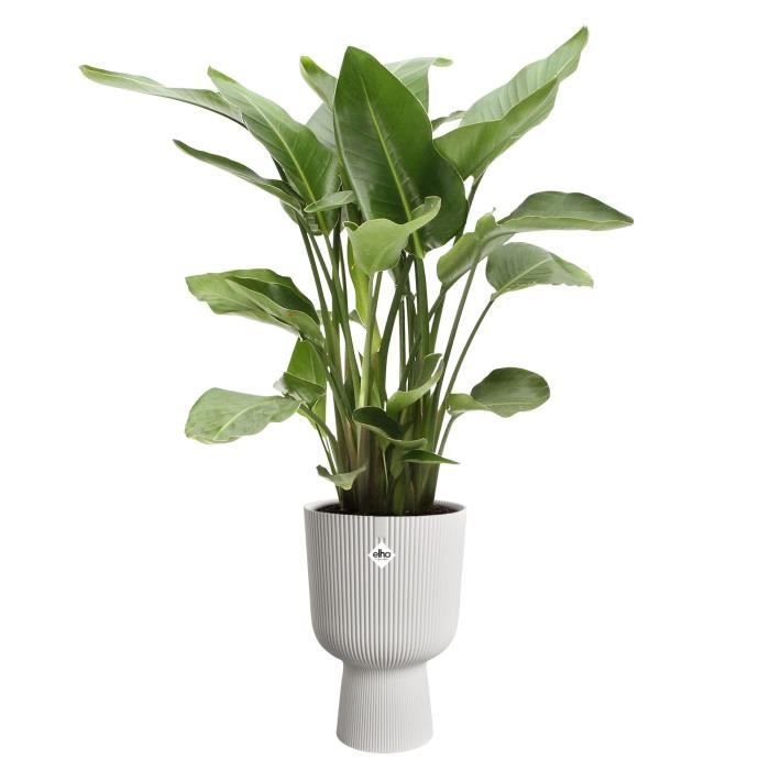 Flower pot - Elho - Vibes Fold Coupe - White - L 30 x W 29.5 x H 45 cm - Indoor - 100% recycled
