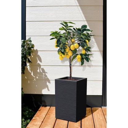 EDA Graphit Up Square Flower Box - 36 L - 29.5 x 29.5 cm x 49.5 cm - Anthracite gray