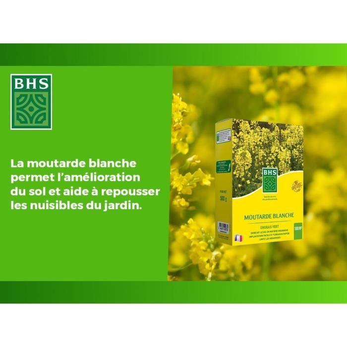 Green Fertilizers - BHS - White Mustard 500g | 100 m² | Improves and disinfects soils for better fertility.