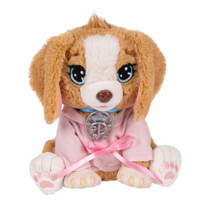 Spa Beauty for animals