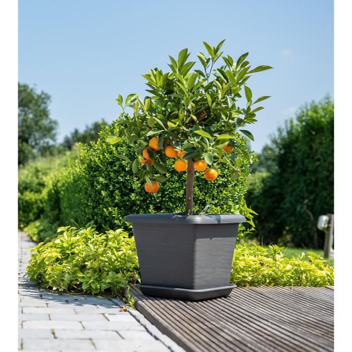 Square flower pot - GARDEN ID - Teramo black-anthracite - 40 x 35 cm - Scratch-resistant - Stone effect - With holes