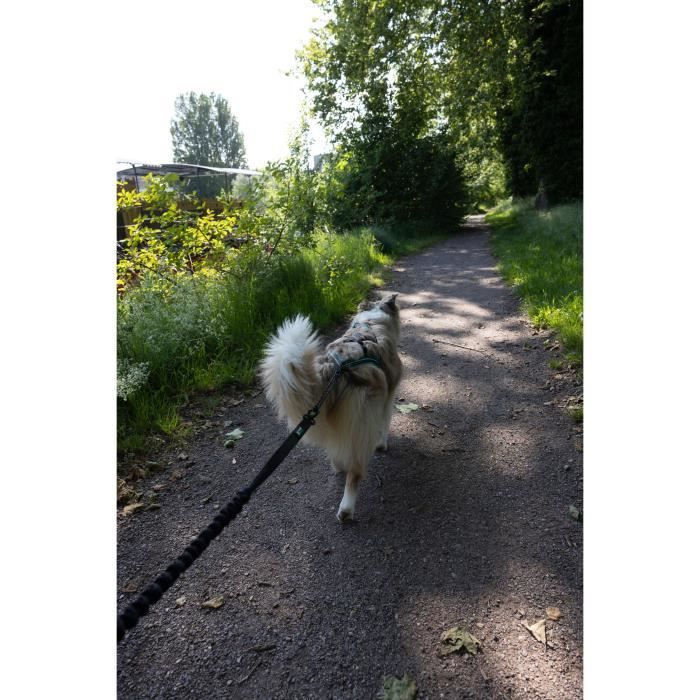 Dog traction leash - CLASSICA - 1.9 m - Dogs up to 25 kg