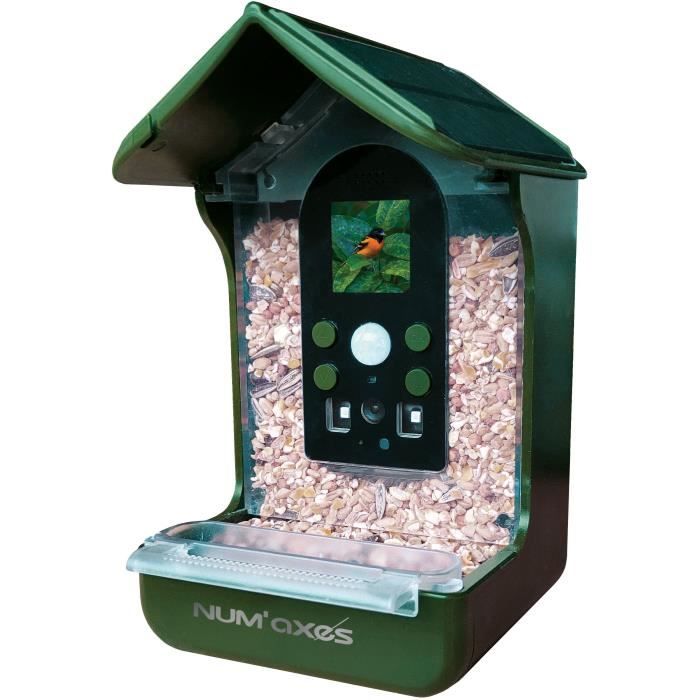 Bird feeder / waterer with integrated camera - NUM'AXES - CAM1074 - 120 ° - Green