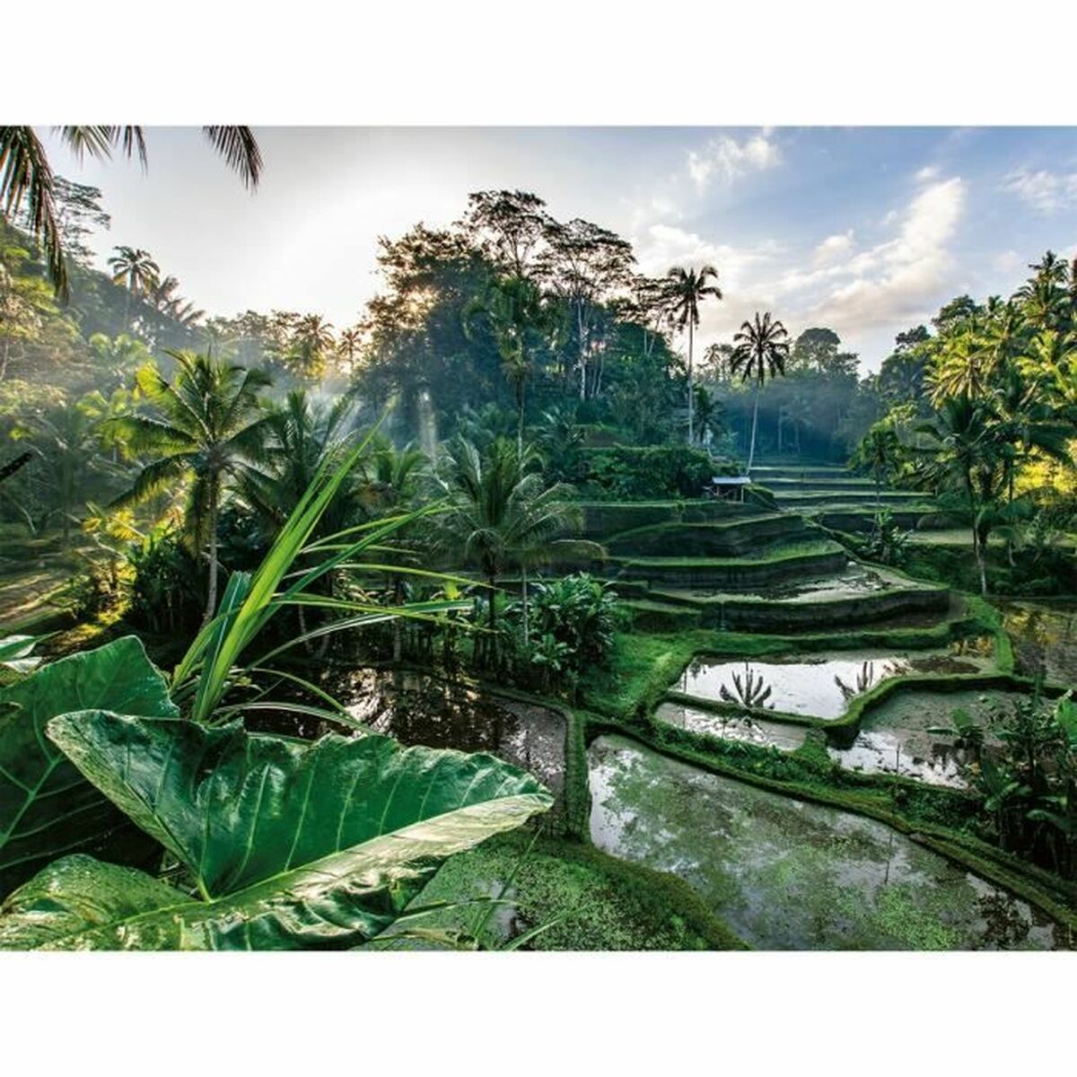 V4H1E990C8315EFF1A8017171EFF68D2394R6361699P2