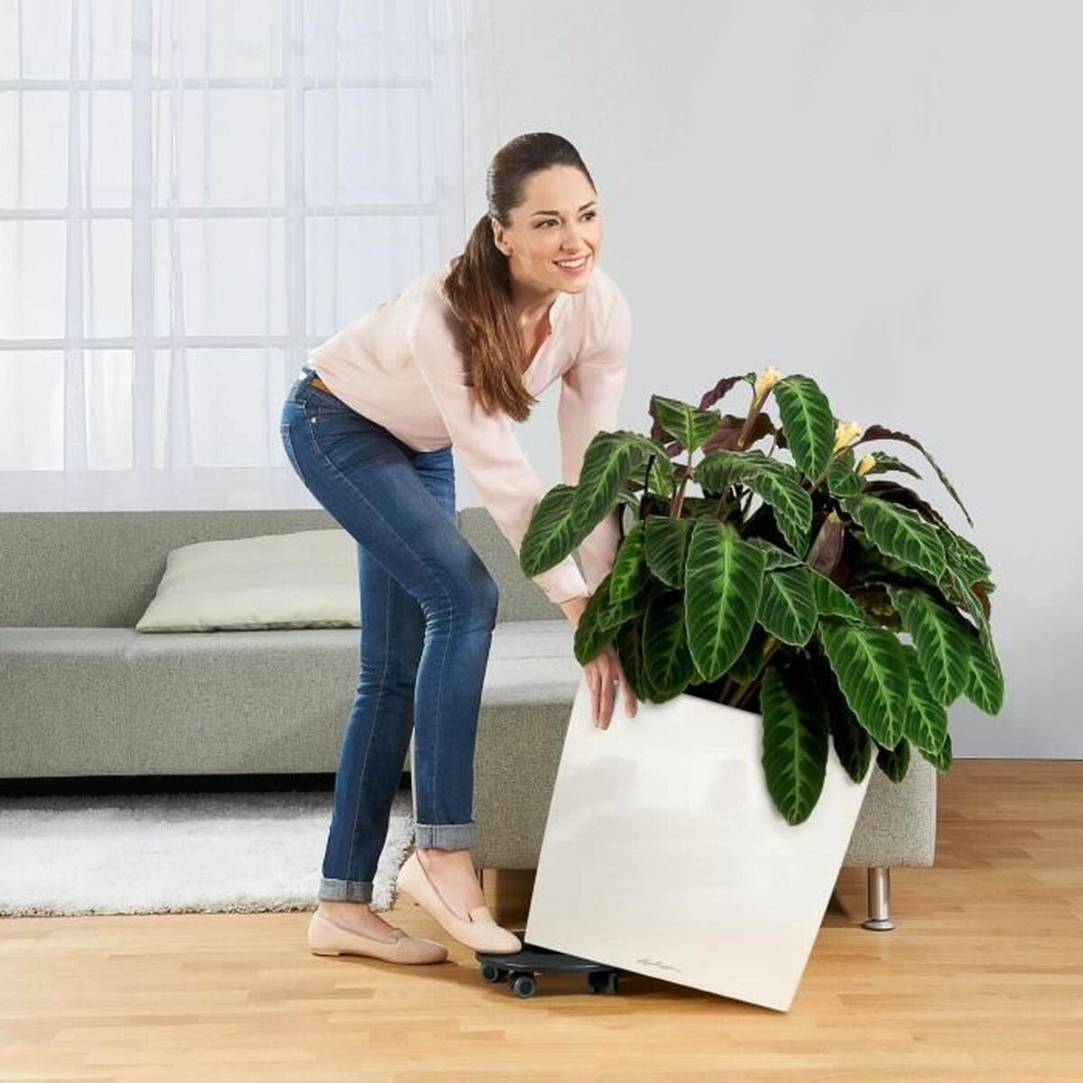 V4H5A164EDB2127D8390CFDA26425733B8DR4371602P3