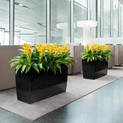 V5H877D989BD4C9CDA26E211774FC5296E5R7024136P4