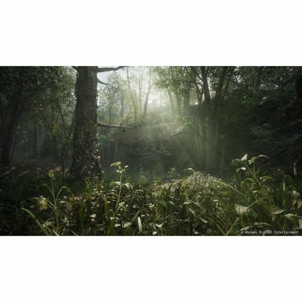 V2H2F1A10479704B5B832B7555708154294R7049406P5